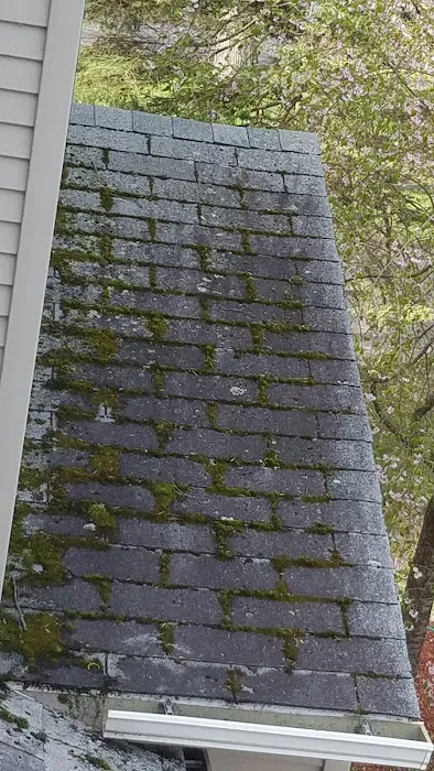 Superior Roof Cleaning Picture 8