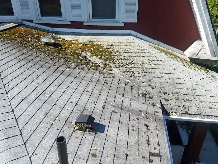 Superior Roof Cleaning Picture 4