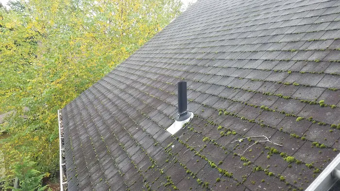 Superior Roof Cleaning Picture 9