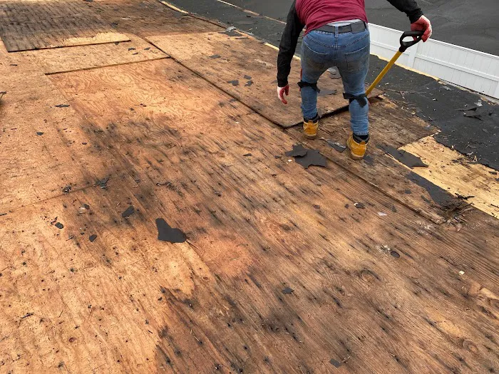 Vector Home Improvement Picture 6