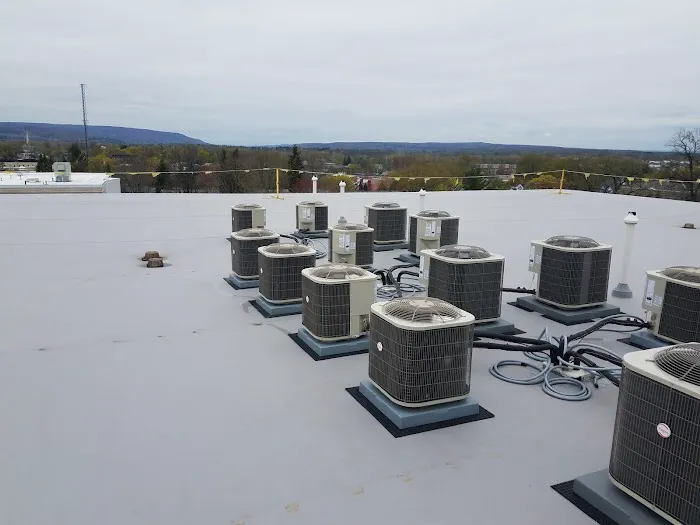 Skyway Roofing Inc. Picture 6