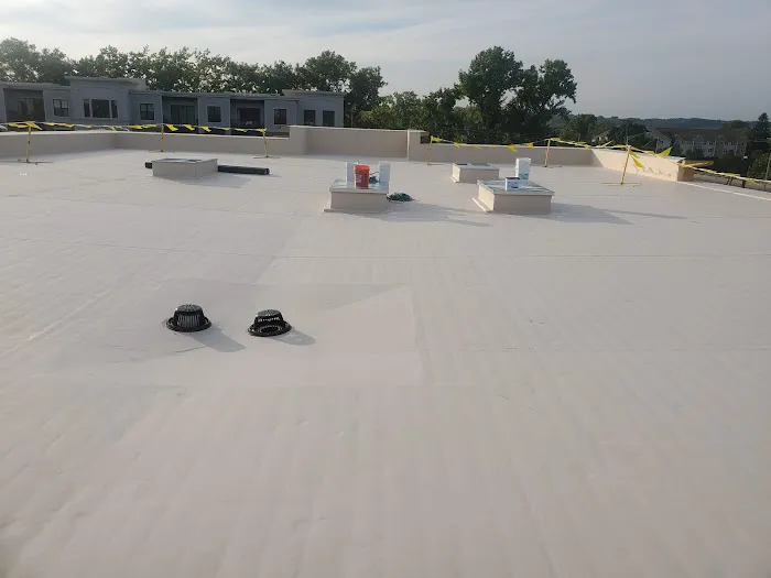 Skyway Roofing Inc. Picture 4