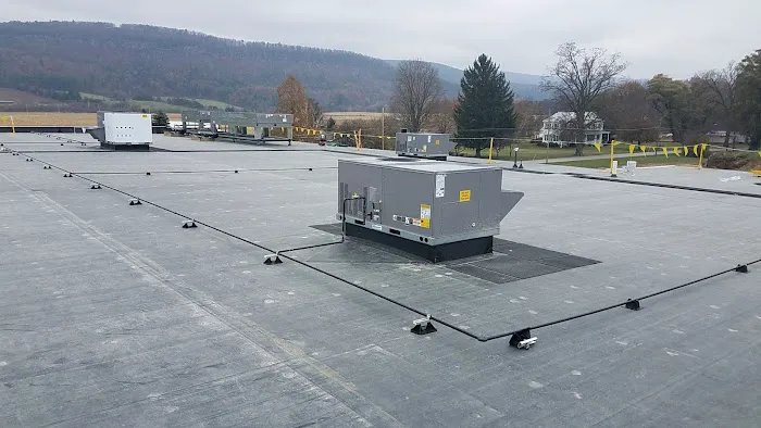 Skyway Roofing Inc. Picture 5