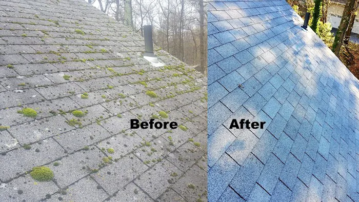 Ugly Roof Doctor LLC, Roof Cleaning, Repair and Replacement Picture 7