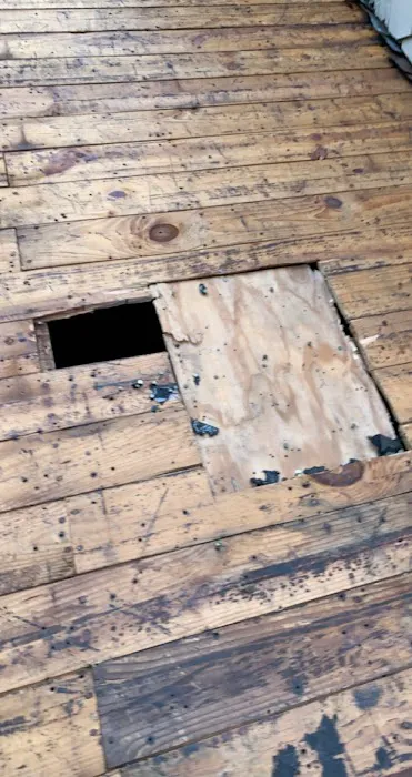 Dzen Residential Roofing LLC Picture 4