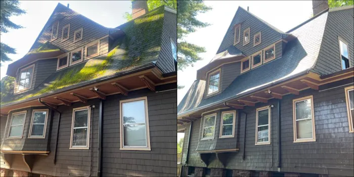 Safe Roof Cleaning LLC Picture 9