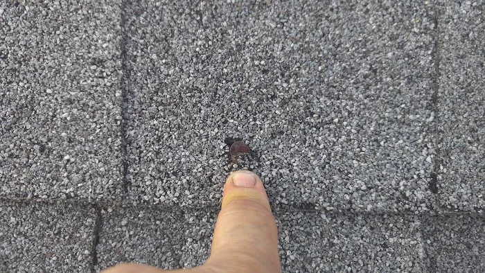 S & A-Sani, LLC Picture 10