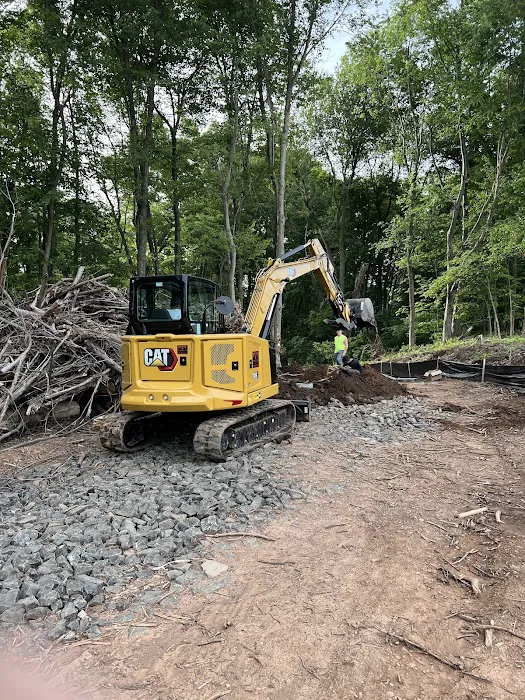 Empire Construction Picture 8