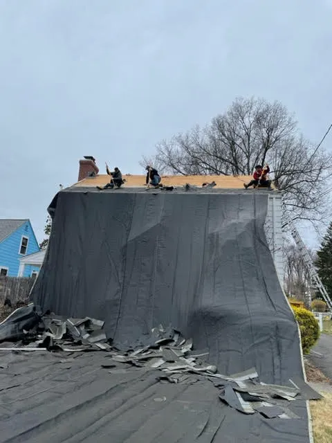 Classic Metal Roofs Picture 3