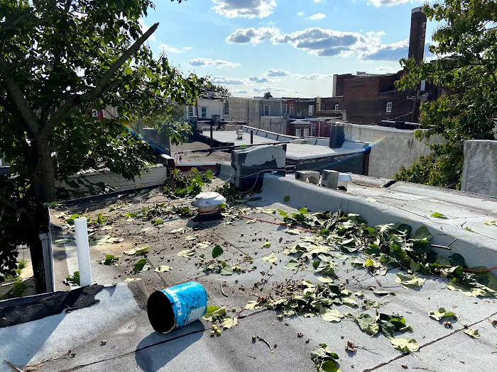 RAPTOR ROOFING Picture 3