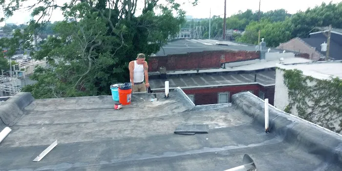 RAPTOR ROOFING Picture 2