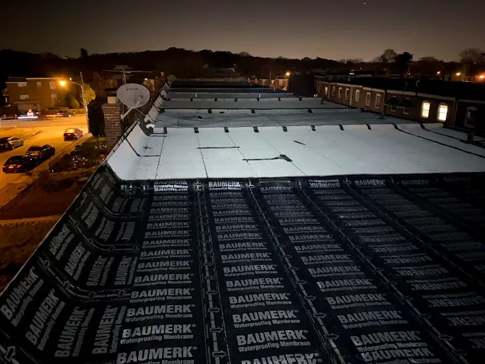 RAPTOR ROOFING Picture 4