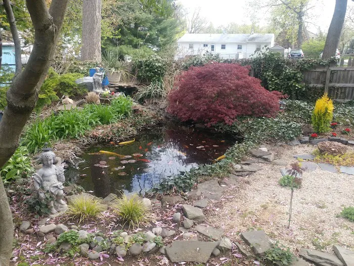 Menna Roofing Picture 4