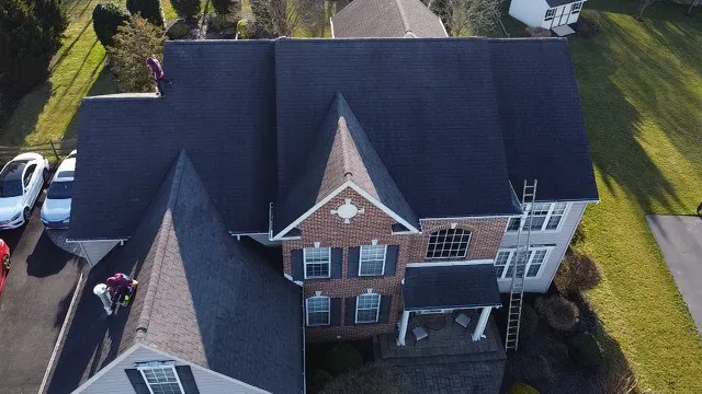 Alfaro Enterprises Picture 9