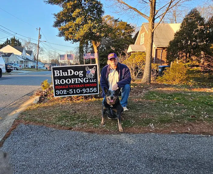 BluDog ROOFING, LLC Picture 2