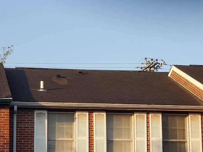 BluDog ROOFING, LLC Picture 5