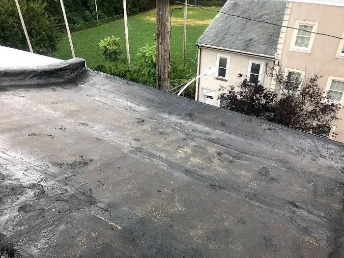 Roofline Roofing Picture 2