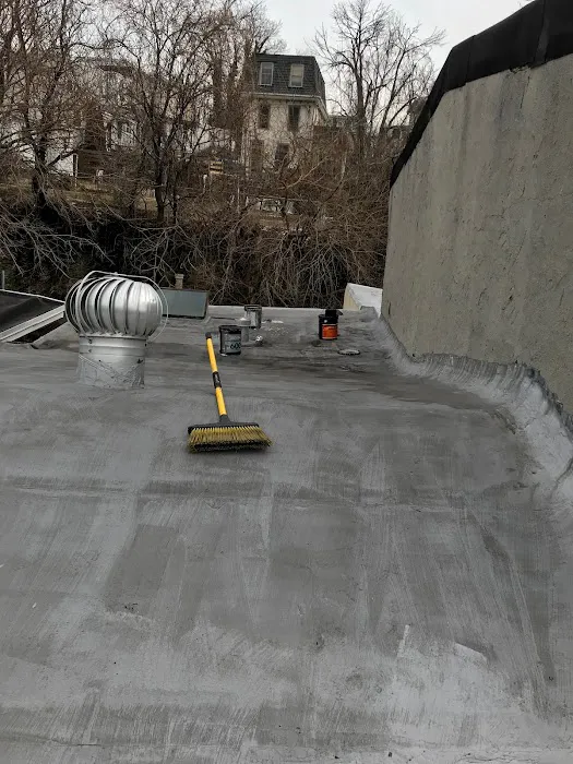 Roofline Roofing Picture 6