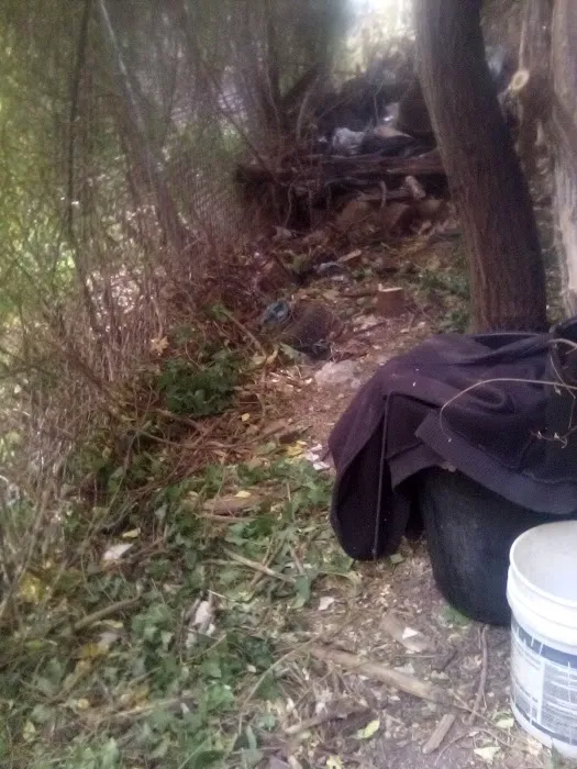 Main Line Roofing Picture 1