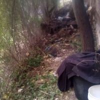 Main Line Roofing ico