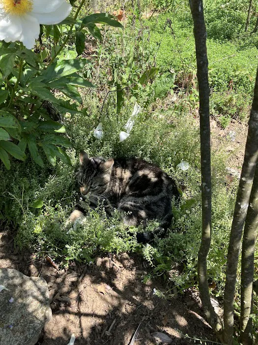 We Do Metal Roofs - Reading, PA District Office Picture 1