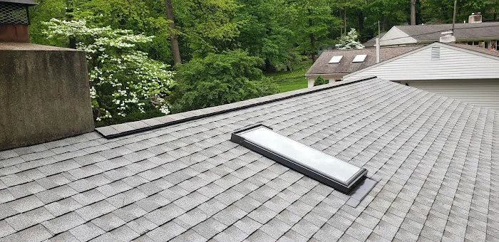 Triple Pine Roofing Picture 2