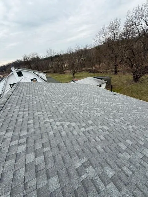 Ludwig Roofing and Repair Inc Picture 8