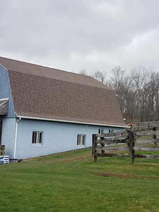 E-Stern Construction LLC Picture 5