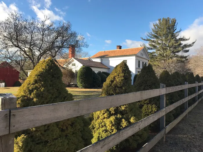 What's On My Roof? Picture 9