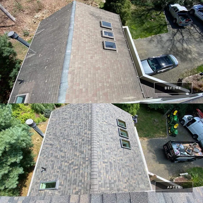 Martin Roofing Picture 8