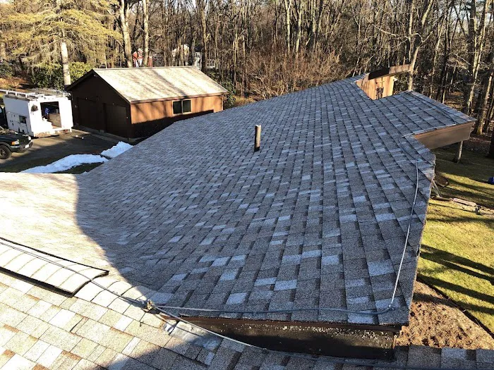 Red Dog's Roofing Picture 4