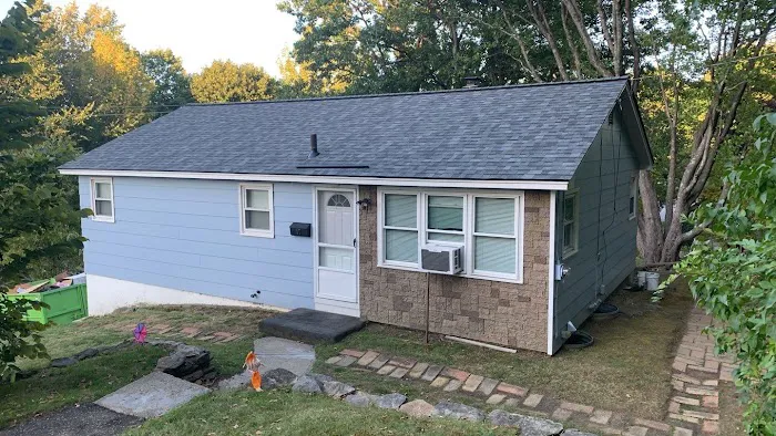 Red Dog's Roofing Picture 2