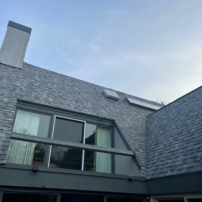 Red Dog's Roofing Picture 6