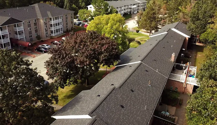 Red Dog's Roofing Picture 5