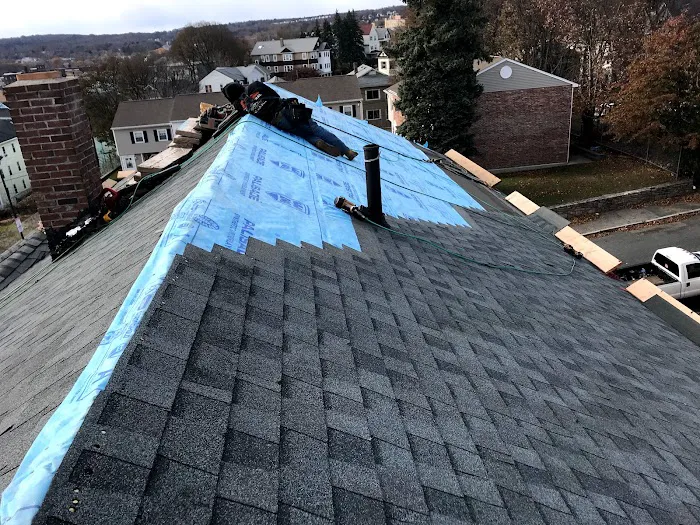 Structural Roofing Picture 5