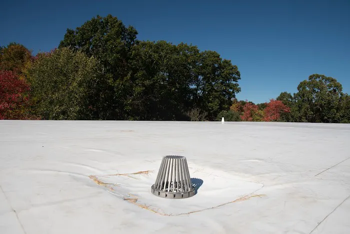 Supreme Roofing Picture 8