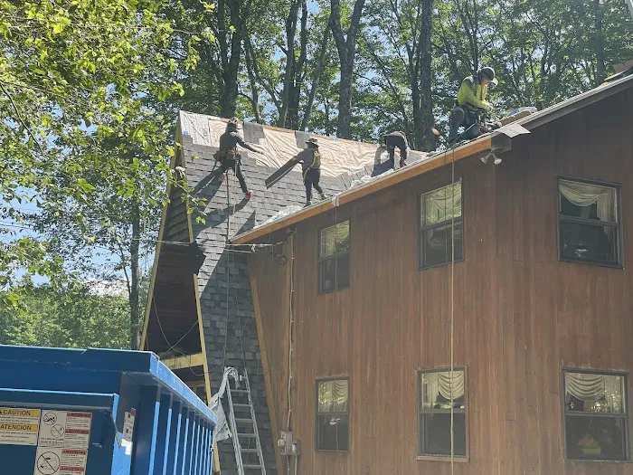 Klaus Roofing Systems by J Smegal Picture 5