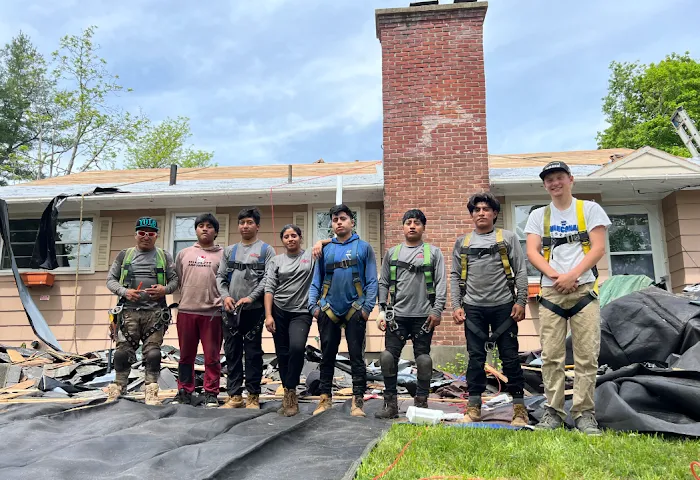 Klaus Roofing Systems by J Smegal Picture 9