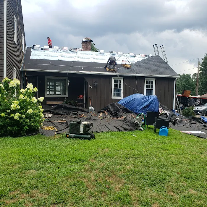 Green Roof Solutions,LLC Picture 2