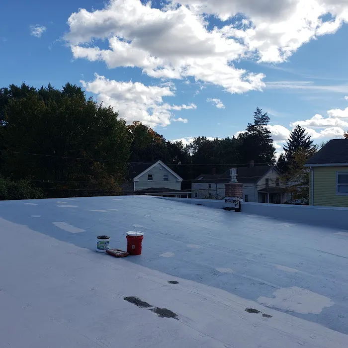 Green Roof Solutions,LLC Picture 7