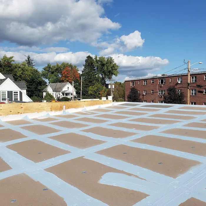 Green Roof Solutions,LLC Picture 8