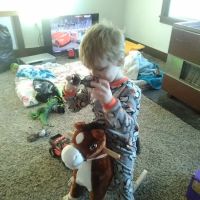 Townsends Roofing ico