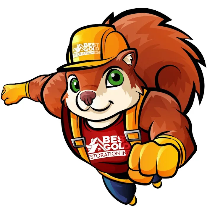 BEST GOLD RESTORATION INC Picture 4