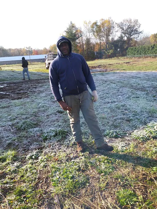 Gleason Roofing Picture 2