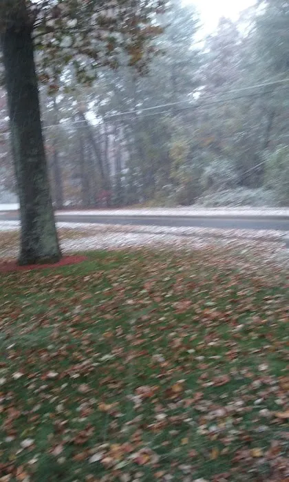 Gleason Roofing Picture 1