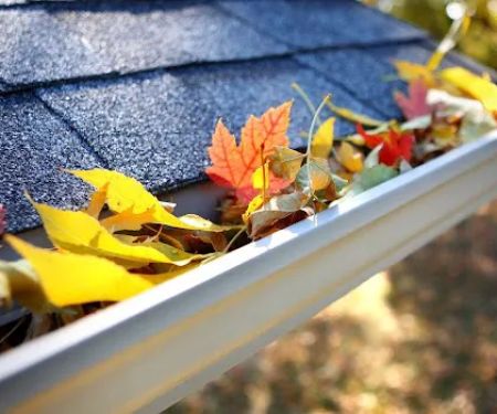 Exterior Home Services LLC