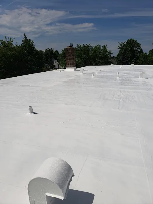 Advanced Roofing and Waterproofing Picture 1