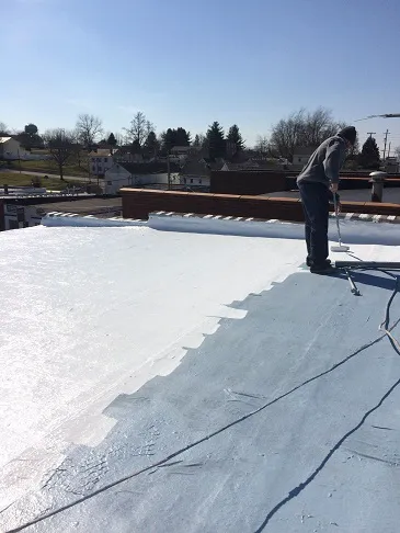 Future Roofing Systems Picture 1