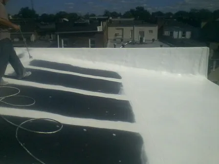 Future Roofing Systems Picture 2