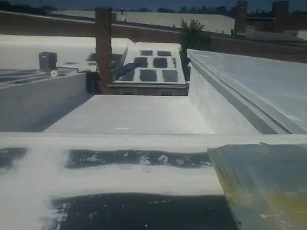 Future Roofing Systems Picture 5